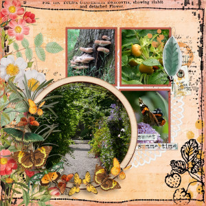 Snapshots of Summer