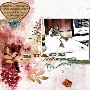 Nuage