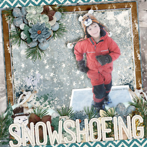 Snowshoeing