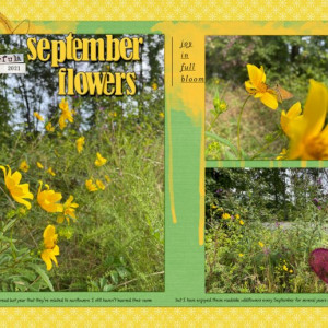09speed-septemberflowers