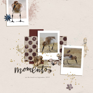 Moments