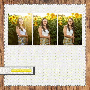 Halle In The Sunflowers 2