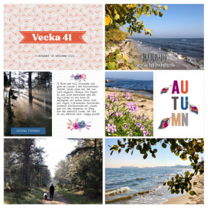 Week 41a 2018
