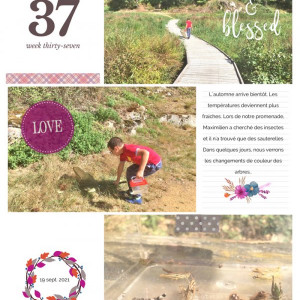 Week 37 Autumn treasures