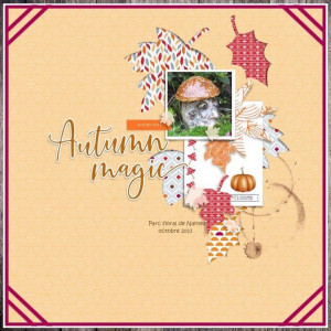 Autumn magic !