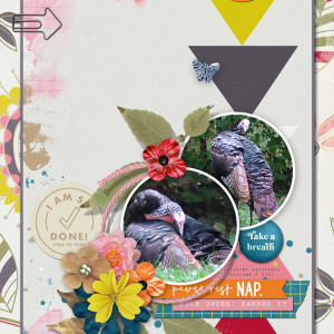 2021-10_October-TLP_1002_Slow-Scrap_turkey_web