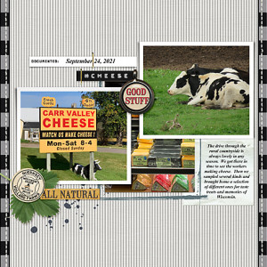 DSD_2Oct9pm_SlowScrap_flowersgal_web