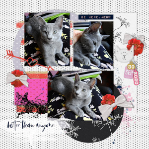 200930_kitty