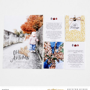 Paislee-FALL MAGIC NO. 3-project6byNADIA