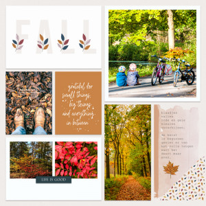 Fall