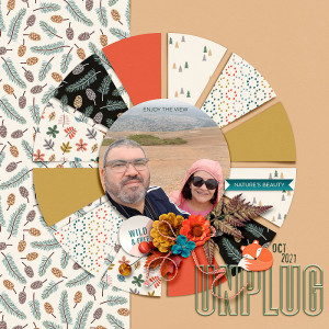Unplug