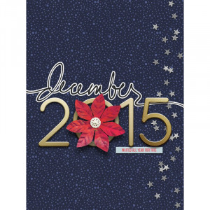 DYD2015-COVER