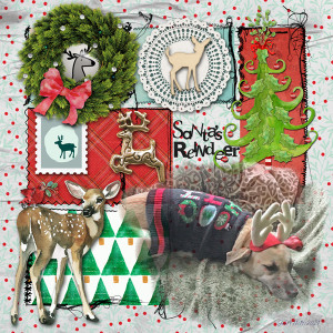 Through The Years_santasreindeers
