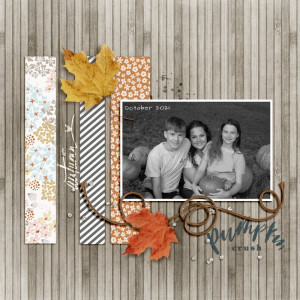 Scraplift_Nov2021