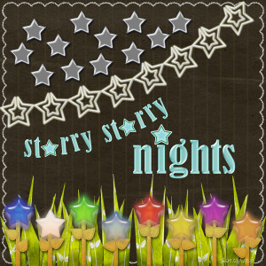 KimJensen_starrynights