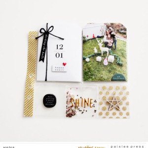 Paislee-This Day In December No. 3-project2byNADIA