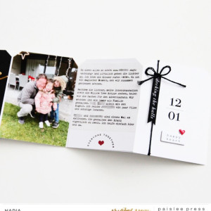 Paislee-This Day In December No. 3-project4byNADIA