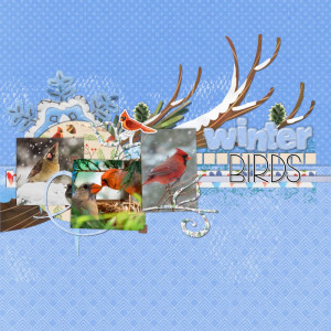 Winter Birds