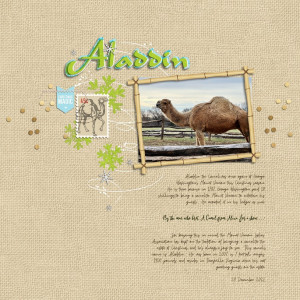 Aladdin The Camel