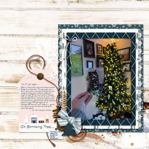 Oh-Shrinking-Tree_MOC10_Day2