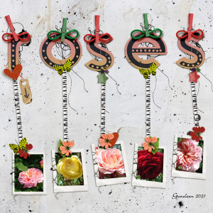 Roses