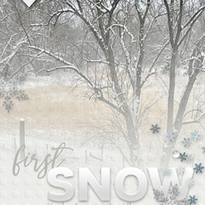 MOC22-day4-First Snow