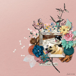 MOC 10 Jan08_Florals Foliage And Frames_its A Dogs Life