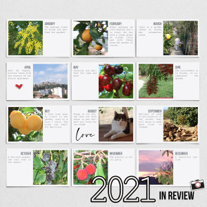 2021 in Review