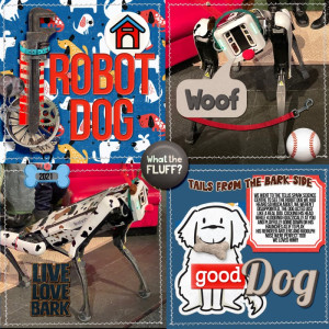 Robot Dog