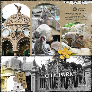 Tasmanian Park