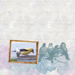 Jan 12: Mixed Media