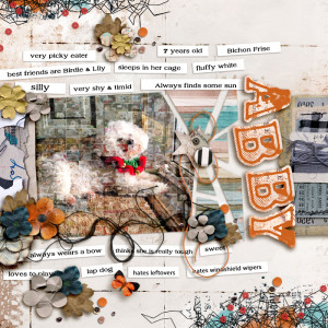 FF_jan21_M3_SwL_ABBY