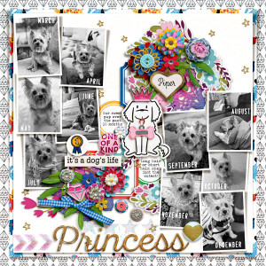 Princess [MOC10 January 10: 10 Photos That Relate]