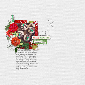 PF-Jan8-MerryMemories