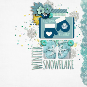 SOSN_jan24_KA_GM_Winter Snowflake