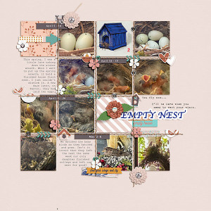 MOC10.23 Empty Nest