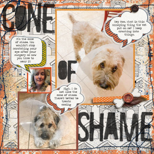 Cone-of-shame