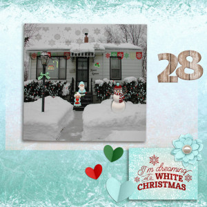 1901_snow