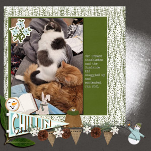 Ernest And Sundance January 2021