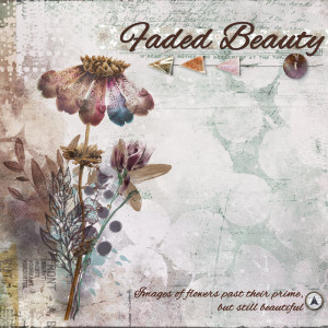 Day-30---Album-Cover