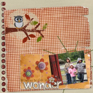 Wisdome Begins in Wonder
