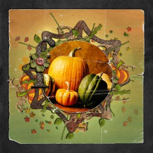 Fall is coming...