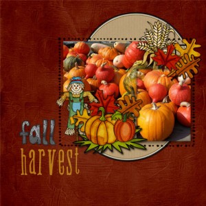 Fall Harvest