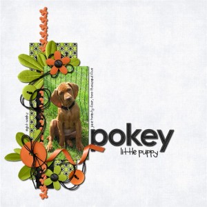 pokey little puppy