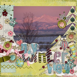 my winter view