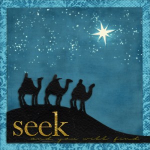 ~ seek joy ~ (1 of 2)