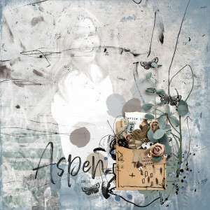 aspen