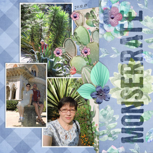 171024_Monserrate Plants
