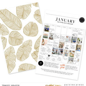 Paislee-letmecheckmycalendar-january22bytraceyholdyk