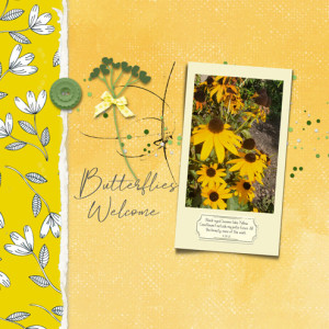 Butterflies-Welcome